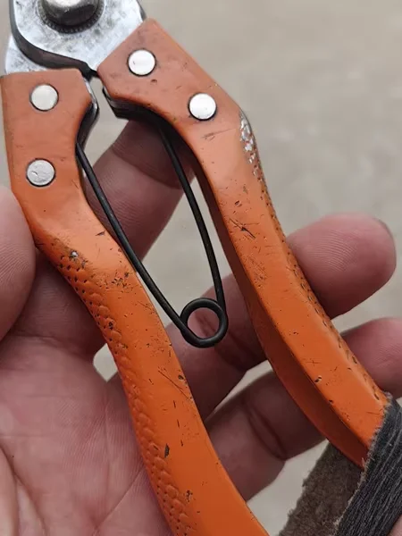 kf-S3a903d4a97694c66a482c7b7f848e72ae-10Pcs-Gardening-Scissors-Accessories-V-Shape-Torsion-Spring-WIRE-1-8mm-Scissors-Spring-Steel-Spring